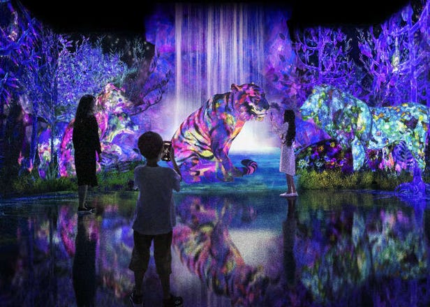 Explore a Magical Indoor Forest with teamLab's Latest Collaborative Illumination