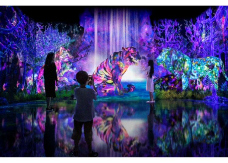 teamLab: Catching and Collecting in the Sacred Forest © teamLab