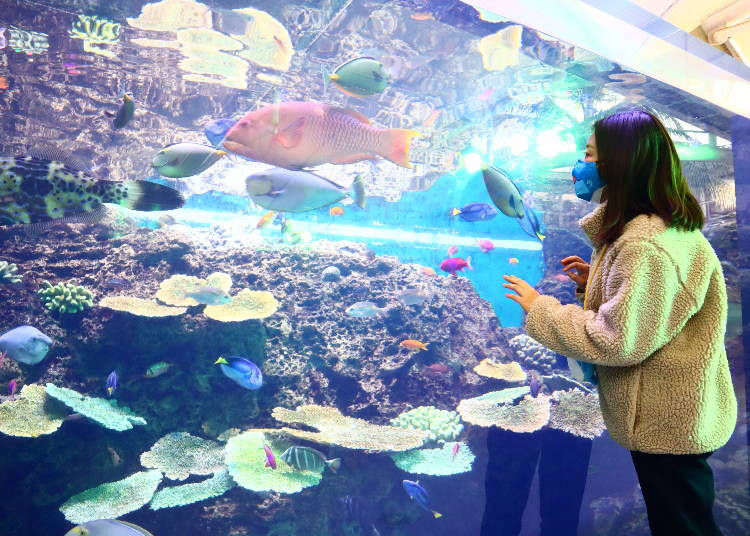 ゴールデンウィークどこ行く 日帰りokの関東近郊おでかけスポットまとめ Live Japan 日本の旅行 観光 体験ガイド