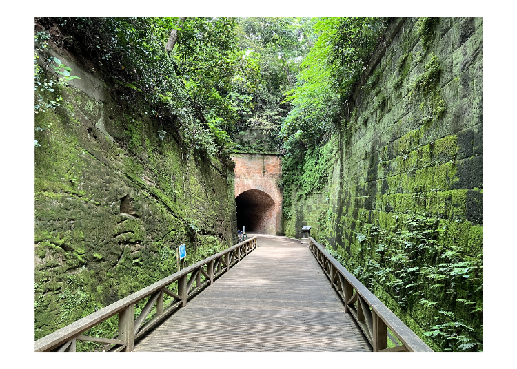 日帰りで行ける無人島!美しい風景で非日常を味う「猿島」体験レポート