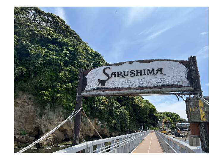 看板に小さな猿が隠れているのに気が付きましたか?