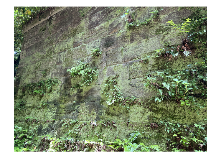 猿島の美しい写真を撮影するには? ①遺跡と豊かな緑がもたらす独特の静かな雰囲気