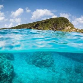 Naha: Full-Day Snorkeling Experience in the Kerama Islands
Details & Bookings ▶
(Image: Viator)