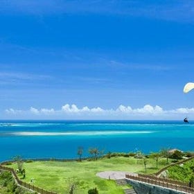 Port Pick-Up: Naha Private Tour Licensed Guide ＆ Vehicle
Details & Bookings ▶
(Image: Viator)