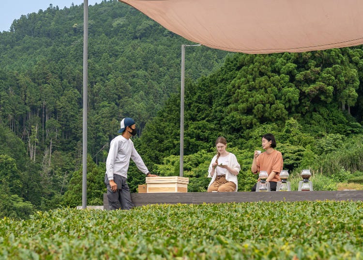 Absorbed in conversation with Mr. Shigeta while enjoying delicious tea and the relaxing natural atmosphere.