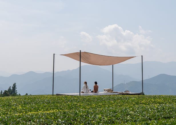 天空テラスで絶景をひとりじめ！静岡茶の魅力を五感で体感する癒やされ旅