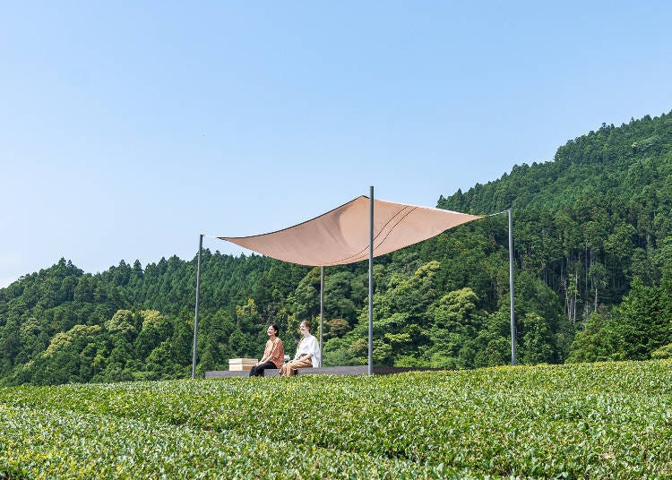 Tea Tasting Experience on Ihachi Nouen Terrace