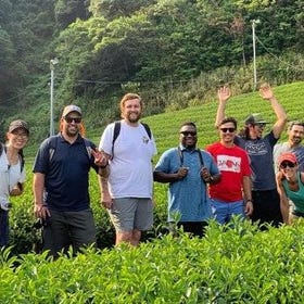 Guided Bike Tour to a Green Tea Farm in Shizuoka