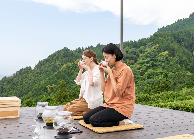 飲んでも食べても口福！一度は体験したい絶品静岡茶とお茶スイーツ3選