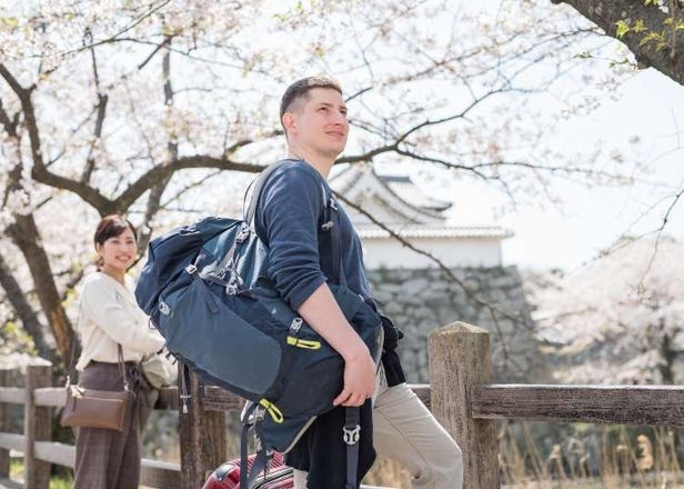 Where to Stay in Japan For Cherry Blossom Season in 2025