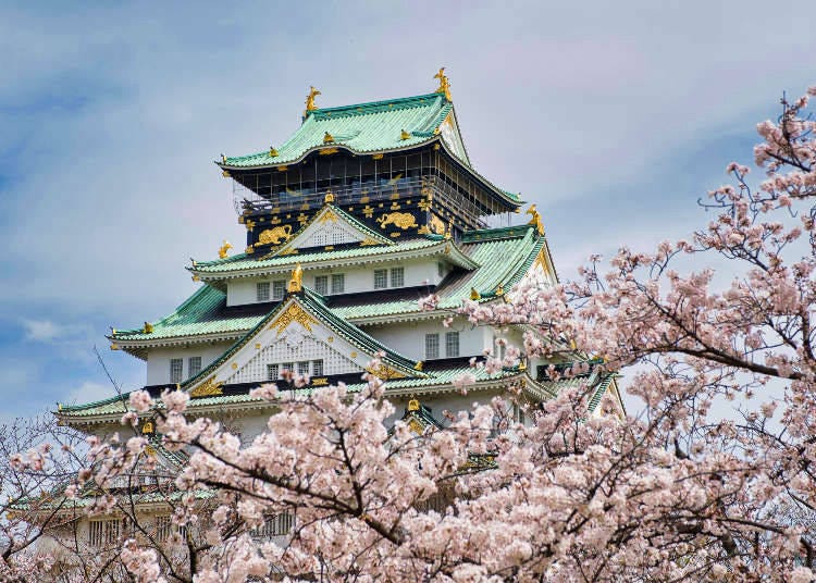 Cherry blossoms blooming around Osaka Castle.