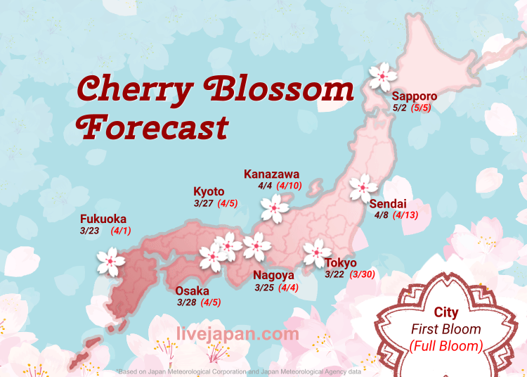 When is cherry blossom season in Japan?