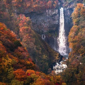 Nikko Toshogu ＆ Lake Chuzenji One Day Bus Tour from Tokyo
Details & Bookings ▶
(Image: Klook)