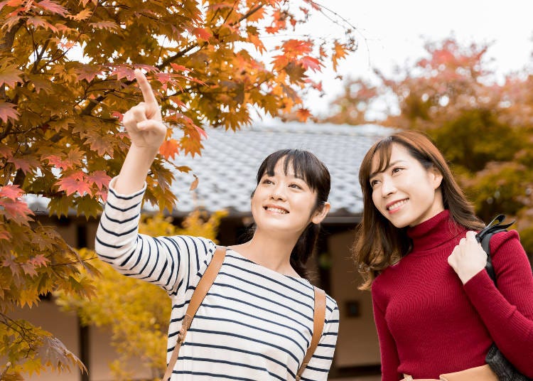 Checking out the beautiful colors is how many people enjoy autumn in Japan! (Image: PIXTA)