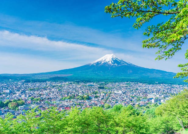 Where You Should Stay Near Mount Fuji: Best Areas & 29 Best Hotels for Visitors