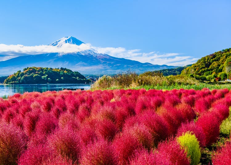Where To Stay Near Mount Fuji: Best Areas & 29 Best Hotels for Visitors