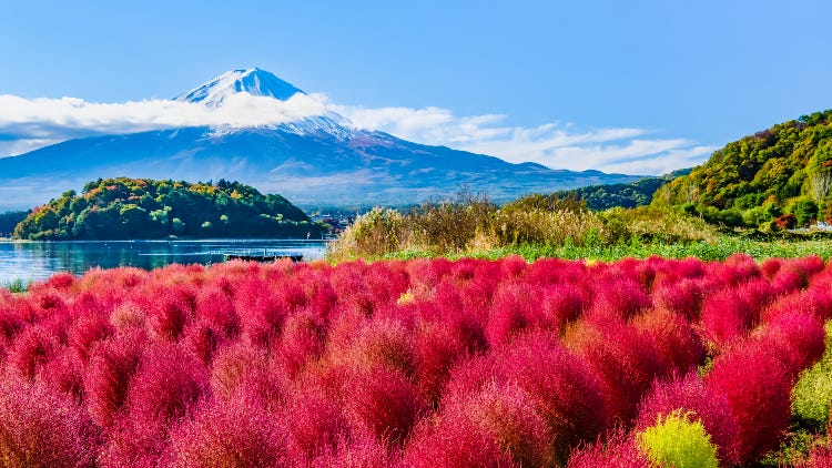 Where To Stay Near Mount Fuji: Best Areas & 29 Best Hotels for Visitors