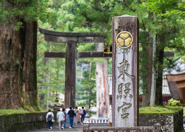 Ueno Toshogu Shrine (Image: PIXTA)