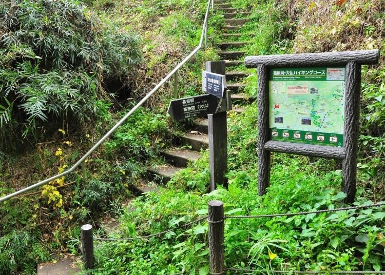 Kamakura has a variety of appealing hiking trails (Image: PIXTA)