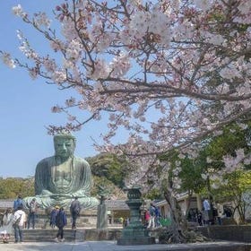 Kamakura Daibutsu Half-day Customizable & Historical Tour
(Image: Klook)