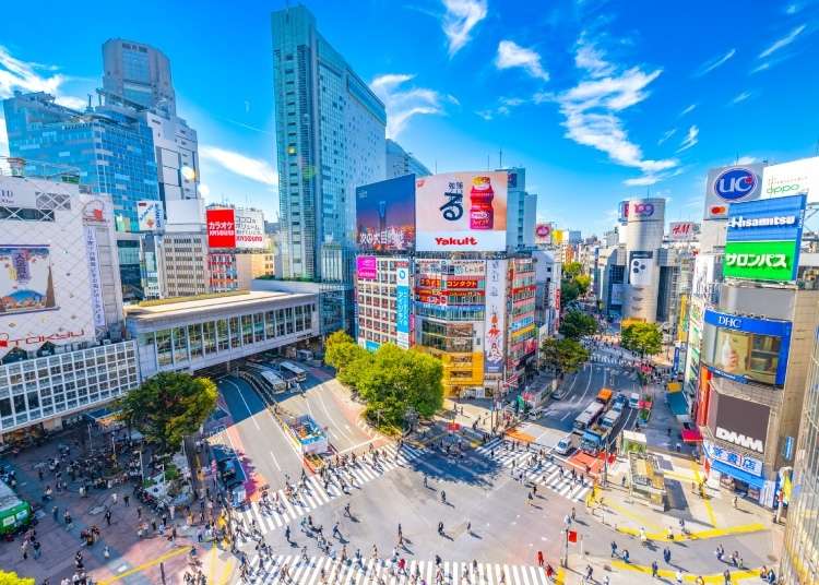 Where You Should Stay in Shibuya: Best Areas & Hotels For Visitors