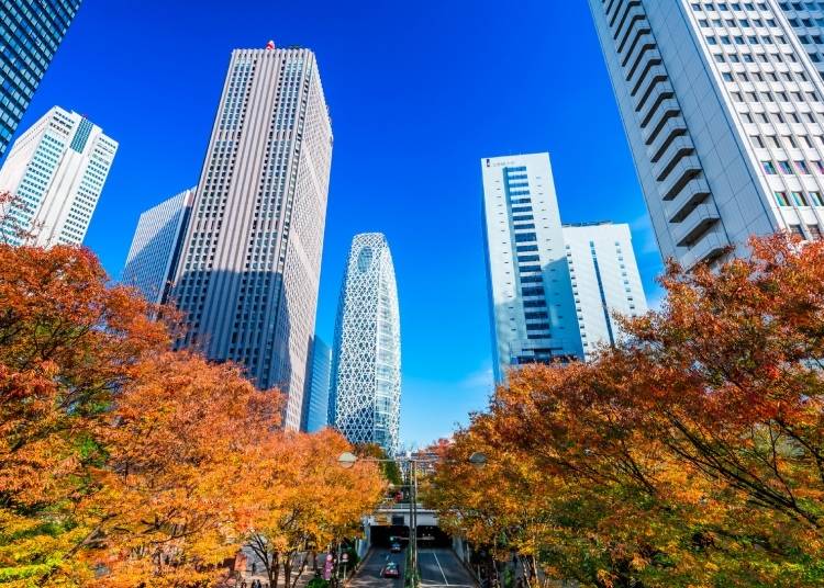 Autumn is a beautiful time of year to stay in Shinjuku. (Photo: PIXTA)