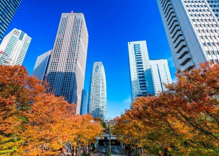 Musim gugur adalah waktu yang indah untuk menginap di Shinjuku. (Foto: PIXTA)
