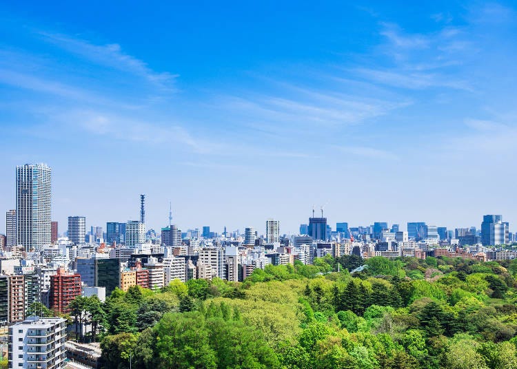 新宿御苑擁有東京市中心中不可多得的寬廣綠地　照片素材：PIXTA