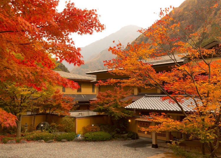 Nishiyama Onsen Keiunkan - a historical ryokan inn that's been nestled deep in the mountains for centuries