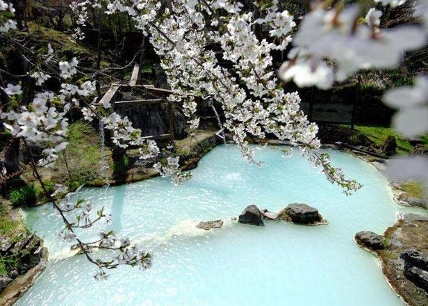 17 Luxury Onsen Ryokan in Japan With Gorgeous Cherry Blossom Views