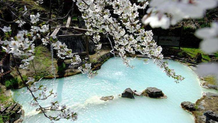 일본 료칸 추천 - 꽃놀이와 온천을 동시에! 추천 료칸 16곳