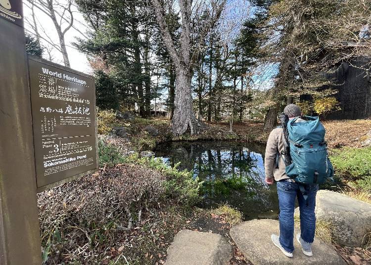 The 3rd sacred site, Sokonashiike Pond, located in the Hannoki Bayashi Museum.