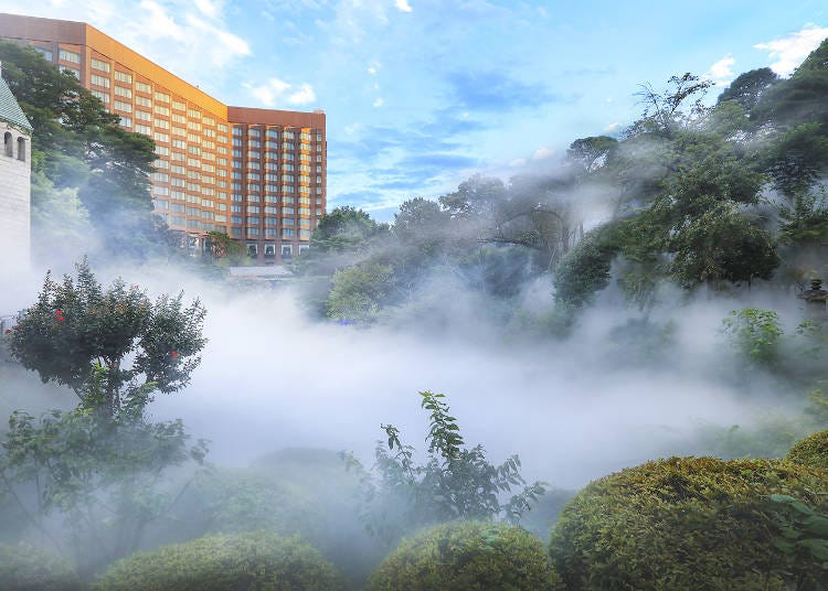 「東京雲海」で日本庭園が霧に包まれる