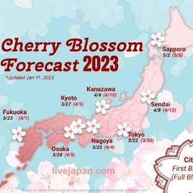 Japan Cherry Blossom 2023 Forecast: When & Where To See Sakura in Japan