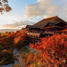 京都賞楓景點10選+最佳時期：清水寺、哲學之道、嵐山等