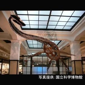 National Museum of Nature and Science (Ueno Area)