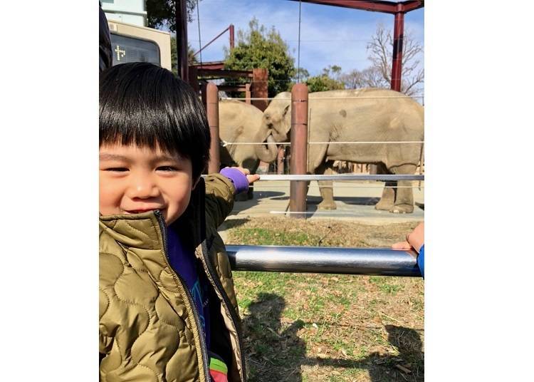 The zoo in Ueno Park is very popular with children. (Photo courtesy of "Ms. Mentaiko's Travel Diary" Facebook Page)