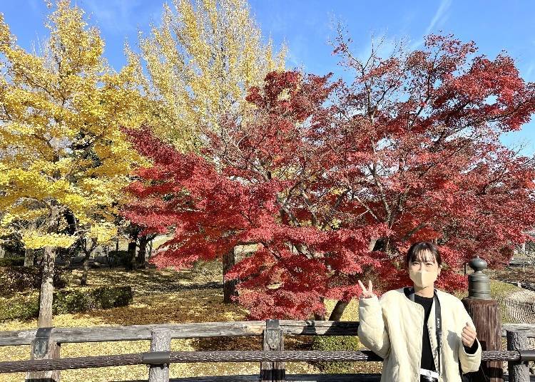 The autumn scenery at Kairakuen is also stunning. / Photo from "Miss Mentaiko's Life & Travel Diary" Facebook page.