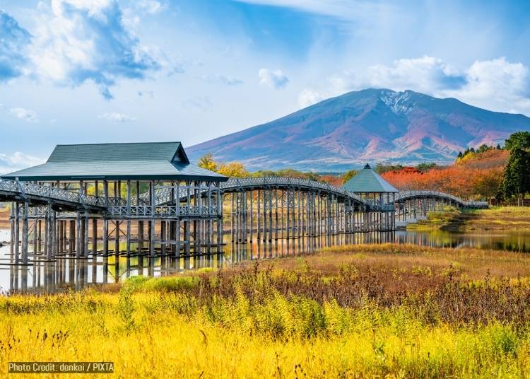 1. 玩「東京+東北/北海道」地區