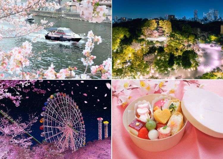 Double the Fun! Tokyo Cherry Blossom Events & Activities for 2025