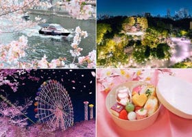 2025年東京の桜を2倍楽しむ！昼と夜の最新花見スタイル