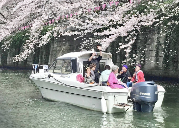 Point 3: Cruise Through the Cherry Blossom-Lined Meguro River