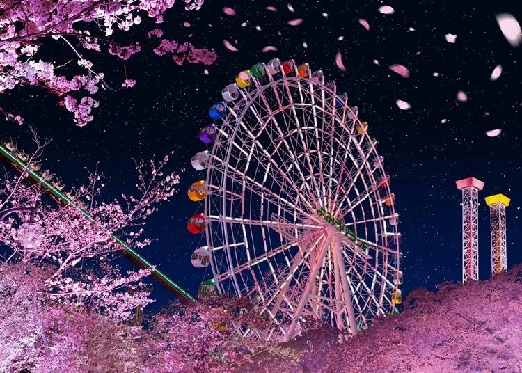 "The Sparkle of Sakura Jewels" – Special Light Show (Image for reference