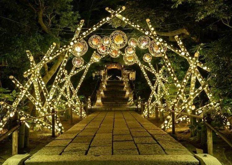 讀賣樂園植物園HANA BIYORI : 花卉燈影秀