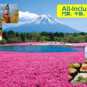 Mt. Fuji, Sakura, Ropeway & Fruit Picking Tour from Tokyo