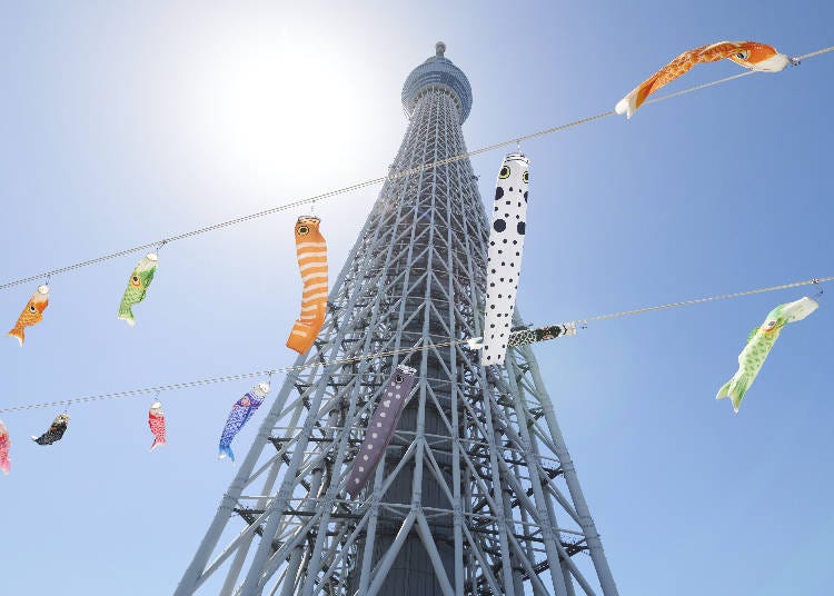 チンアナゴのぼり、ニシキアナゴのぼり(昨年の様子) ©TOKYO-SKYTREETOWN