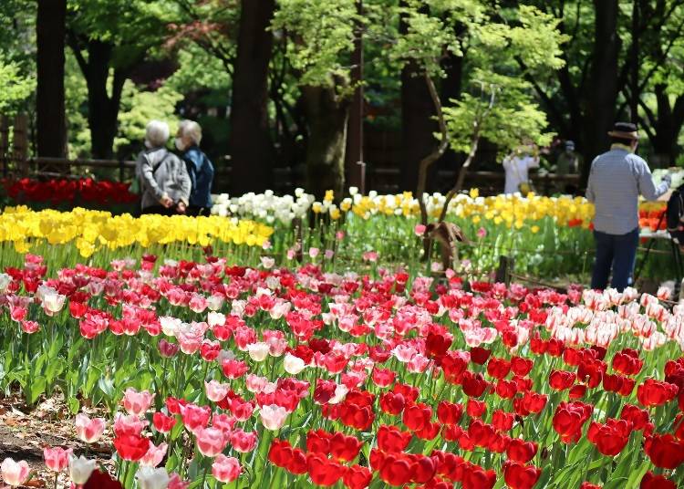 【神奈川縣橫濱市】Garden Necklace Yokohama 2023