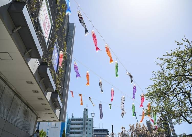 Sorami Zaka(去年的剪影)©TOKYO-SKYTREETOWN