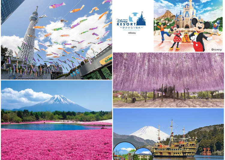 2023년 일본 골든위크 기간중 도쿄 여행중 즐길 수 있는 추천 액티비티 체험 5가지