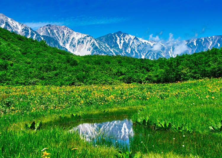 Hakuba in the green season. The Northern Alps' Mt. Shirouma reflects in the Kamaike Marsh. (Photo: PIXTA)